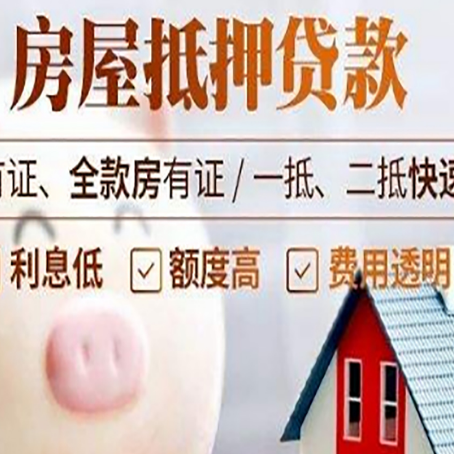 元阳贷款助贷公司新渝启服成立时间久